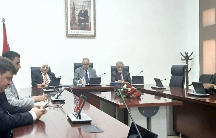 أديوان: الأمازيغ نشروا الإسلام بإفريقيا.. وتصحيح الأنثربولوجيا الغربية ضروري