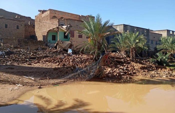 دعم متضرري فيضانات الجنوب الشرقي