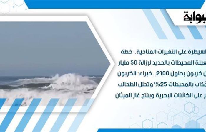 السيطرة على التغيرات المناخية.. خطة لتعبئة المحيطات بالحديد لإزالة 50 مليار طن كربون بحلول 2100.. خبراء: الكربون المُذاب بالمحيطات 25% وتحلل الطحالب يؤثر على الكائنات البحرية وينتج غاز الميثان