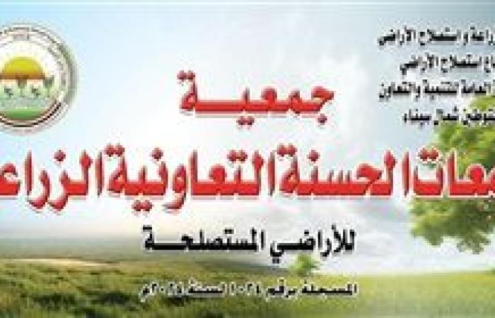 الزراعة تستعرض أنشطة قطاع إستصلاح الأراضي في سيناء بمناسبة الذكرى ال 51 للنصر العظيم