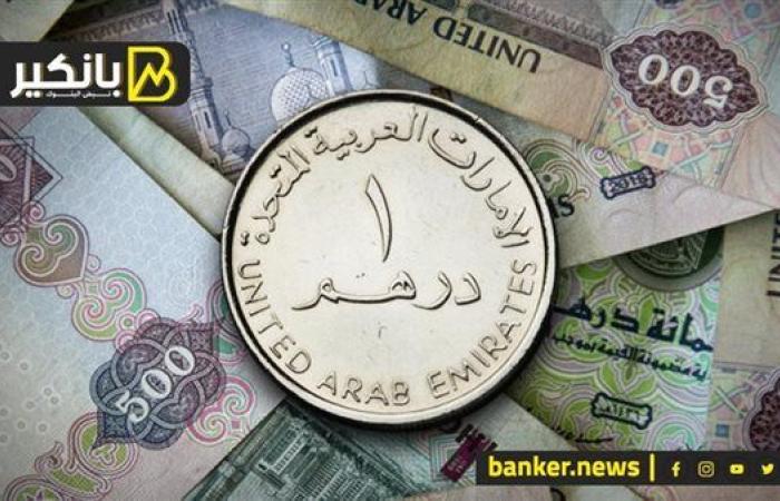 سعر الدرهم الإماراتي أمام الجنيه المصري في تعاملات اليوم الأحد 6-10-2024