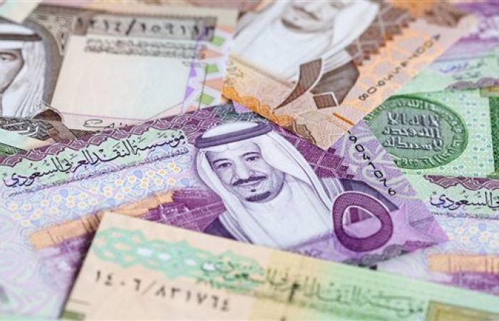 سعر الريال السعودي اليوم الاثنين 7-10-2024 في البنك المركزي المصري