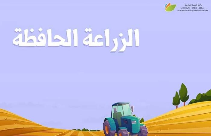 أهمية  الزراعة الحافظة