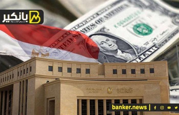 الغول المصري يتحرر.. قطاع الحكومة بتراهن عليه بـ240 مليار دولار