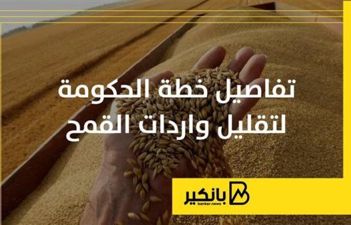 تفاصيل خطة الحكومة لتقليل واردات القمح