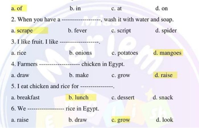 مراجعات نهائية.. حل تقييم الأسبوع الثاني لغة انجليزية الصف الرابع الابتدائي