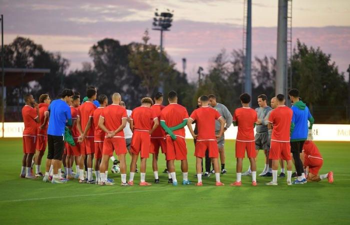 الركراكي: لقاء إفريقيا الوسطى "تجريب"