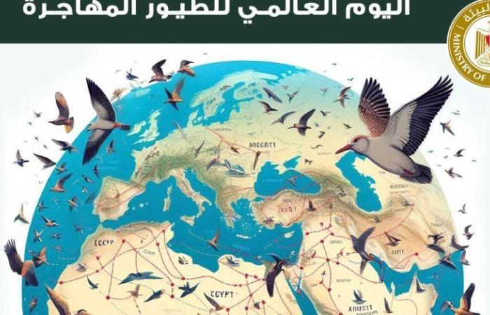 وزيرة البيئة: مصر قبلة الطيور المهاجرة ومحطة هامة للتكاثر والغذاء