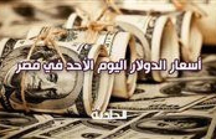 سعر الدولار اليوم الأحد في مصر 13 أكتوبر 2024