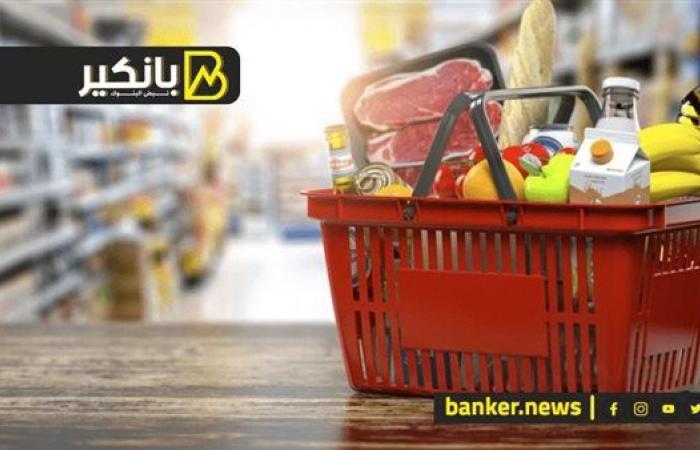 وصلت لـ 45.7 مليار دولار.. الحكومة هتعمل ايه عشان  توقف استيراد السلع الاستفزازية