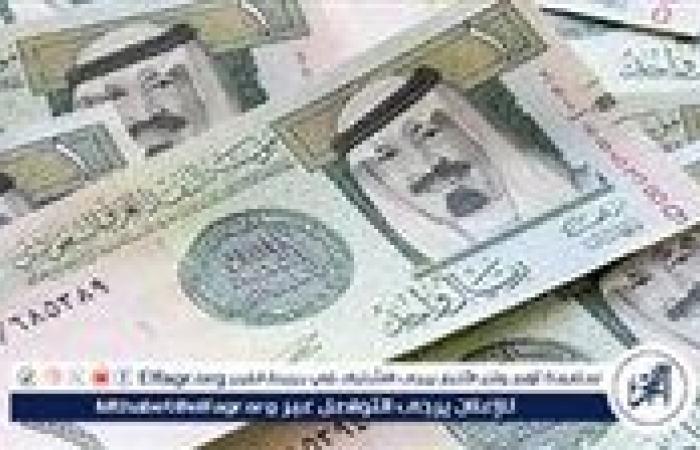 سعر الريال السعودي مقابل الجنيه المصري اليوم الأربعاء 4 ديسمبر 2024 في البنوك المصرية