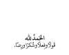 بالبلدي: هاجر أحمد تستقبل مولودها الثاني في سرية (صور)