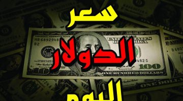 “تذبذب العملة الخضراء” سعر الدولار في السوق السوداء اليوم لحظة بلحظة الأثنين 21 اكتوبر 2024 وفي البنوك المصرية