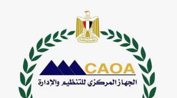 بالرقم القومي .. رابط الاستعلام عن نتيجة ترقيات موظفي الحكومة 2024 promotion.caoa.gov.eg