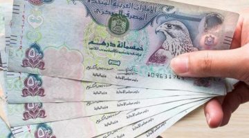 استقرار ملحوظ.. اسعار العملات في السوق السوداء اليوم الاثنين 22 اكتوبر 2024 الدولار واليورو والريال بكام