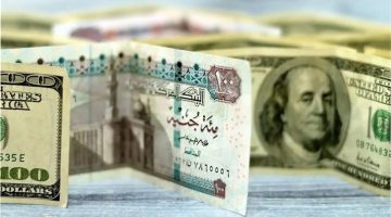 “لحظة بلحظة” سعر الدولار اليوم مقابل الجنيه المصري الأربعاء الموافق 16 اكتوبر 2024 في السوق السوداء