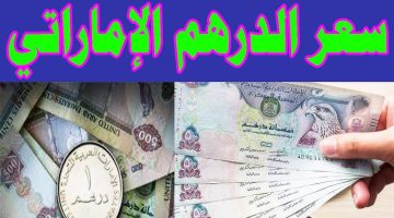 سعر الدرهم الإماراتي اليوم في البنوك المصرية والسوق السوداء 22 أكتوبر 2024 بداية التعاملات