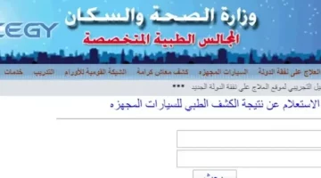 خطوات الاستعلام عن نتيجة الكشف الطبي للمعاقين بالرقم القومي للحصول على سيارة مجهزة