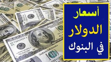 اعلي سعر الدولار في البنك اليوم الاربعاء 23 اكتوبر 2024 وفي السوق السوداء في ختام التعاملات