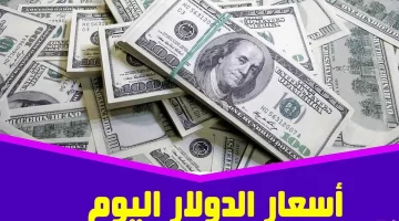 “ترقب الأمريكي”.. سعر الدولار اليوم في مصر الاحد 26 أكتوبر 2024 في السوق السوداء والبنوك