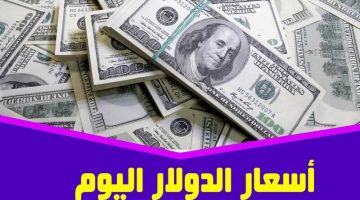 الأخضر بكام؟.. سعر الدولار اليوم مقابل الجنيه المصرى بتعاملات الاحد 20-اكتوبر-2024 في البنوك المصرية والسوق السوداء