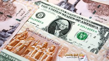 عاجل.. اكتشفوا الآن: كيف تأثر سعر الدولار في البنك الأهلي بعد تراجعه في 8 بنوك جراء قرار الفائدة الأخير؟