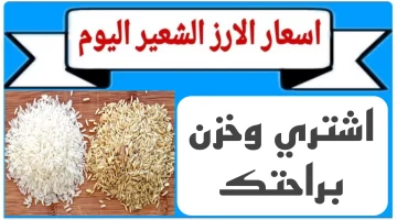 “بكام انهارده” سعر طن الأرز الشعير اليوم الخميس الموافق 17 اكتوبر 2024 في المحلات التجارية للمستهلك