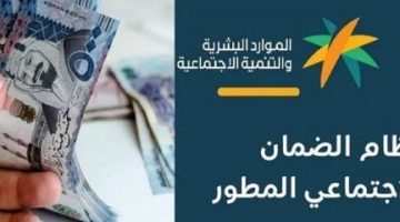 عاجل.. “استعلم الآن!” تعرف على موعد صرف الضمان الاجتماعي المبكر لشهر نوفمبر 2024 وطريقة الاستعلام إلكترونيًا