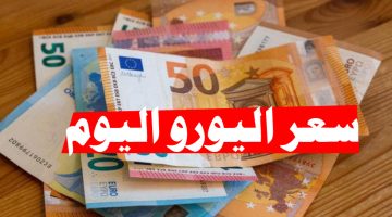 سعر اليورو اليوم الجمعة اليوم في السوق السوداء 1 نوفمبر 2024 وجميع البنوك المصرية