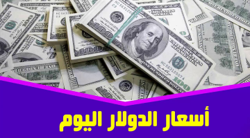 وصل كام النهارده.. سعر للدولار اليوم الاثنين 25 نوفمبر 2024 في السوق السوداء والبنوك المصرية