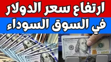 الأخضر قلقان الصبح.. سعر الدولار مقابل الجنيه المصري اليوم الخميس 28 نوفمبر 2024 في البنوك والسوق السوداء