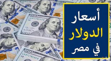 “الدولار يتراجع”.. سعر الدولار في مصر اليوم الخميس 21 نوفمبر 2024 في السوق السوداء والبنوك وتأثيره على الاقتصاد المحلي