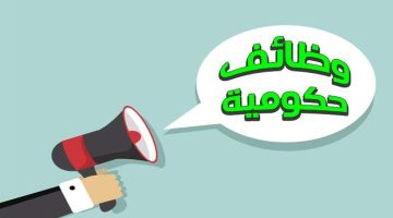 وظائف خالية في 3 هيئات حكومية.. اعرف التفاصيل والشروط