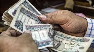 ننشر حقيقة زيادة معاشات ديسمبر 2024 بنسبة 15% لأكثر من 11.5 مليون أسرة| توضيح هام من التأمينات