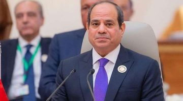 الرئيس السيسي يوجه باتخاذ التدابير اللازمة لتحفيز مشاركة القطاع الخاص في جهود تطوير قطاع الطيران